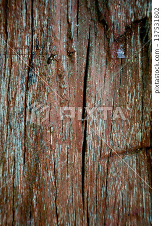 Weathered Reddish-Brown Wood Texture with Deep Cracks and Grain 137531802