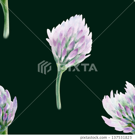 Clover soft lilac flower in seamless pattern symbolizing wedding grace and tender romance.Hand drawn watercolor in washes,fine detail for bridal stationery,spring celebrations,feminine design projects Clover soft lilac flower in seamless pattern symbolizing wedding grace and tender romance.Hand drawn watercolor in washes,fine detail for bridal stationery,spring celebrations,feminine design projects 137531823