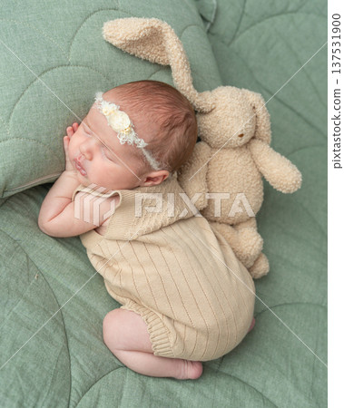 Adorable newborn baby sleeping next to a plush toy. Soft textures, neutral colors, warm light. Ideal for concepts of newborn care, comfort, early childhood and family life Adorable newborn baby sleeping next to a plush toy. Soft textures, neutral colors, warm light. Ideal for concepts of newborn care, comfort, early childhood and family life 137531900