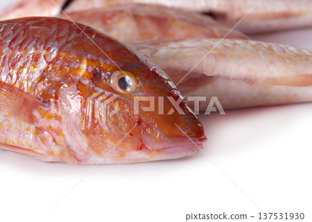Red mullet Red mullet 137531930