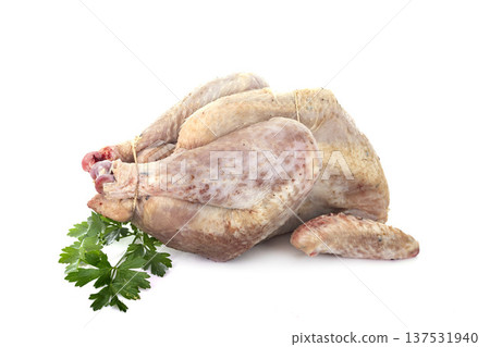raw chicken in studio 137531940