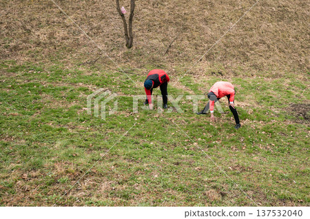 Two volunteers engaged in community service, planting new grass and restoring local greenery in a public park on a chilly spring afternoon Two volunteers engaged in community service, planting new grass and restoring local greenery in a public park on a chilly spring afternoon 137532040