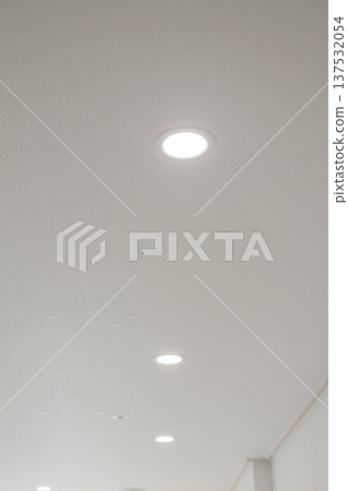It's a white ceiling with lights. It's a white ceiling with lights. 137532054