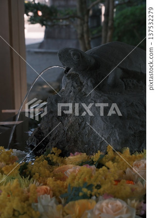 龜的水店 137532279