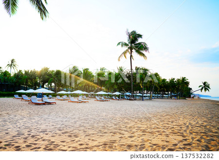 Tropical sand beach with palm trees on bright blue sky. Visitors relaxing on lounge chairs at sea. Tropical sand beach with palm trees on bright blue sky. Visitors relaxing on lounge chairs at sea. 137532282