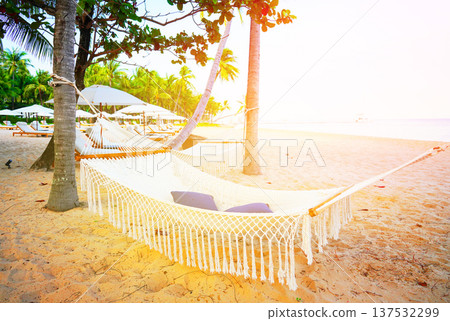 Hammock and sun loungers on sea beach. Seaside holiday in sunny day with palm trees. Hammocks  137532299