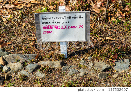 Volunteer activities Volunteer activities 137532607