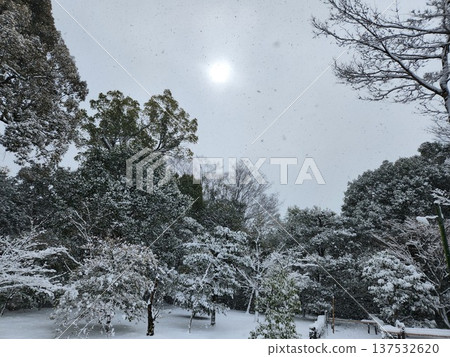 Snow-covered winter garden at Kinkakuji Temple in Kyoto Snow-covered winter garden at Kinkakuji Temple in Kyoto 137532620