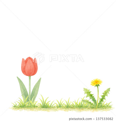 水彩插畫：鬱金香、蒲公英和青草，春季野花 137533082