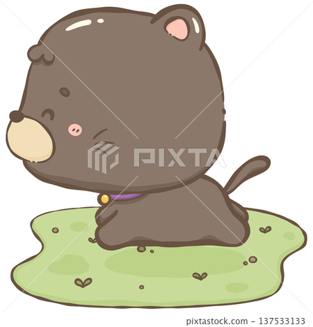 Little black cat Little black cat 137533133