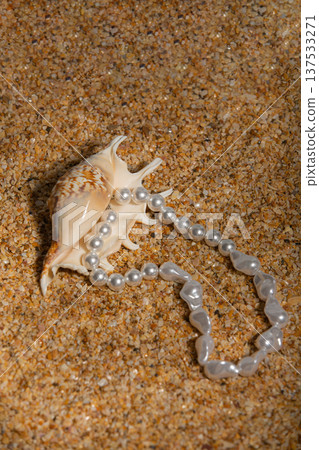 Gleaming Jewelry Display. Close View Of Glossy Pearl Chain Lying On Textured Sandy Conch Shell Surface Gleaming Jewelry Display. Close View Of Glossy Pearl Chain Lying On Textured Sandy Conch Shell Surface 137533271