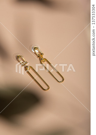 Modern Minimalist Gold Earrings Shaped In Rectangles With Subtle Shadows On Peach Background Modern Minimalist Gold Earrings Shaped In Rectangles With Subtle Shadows On Peach Background 137533304