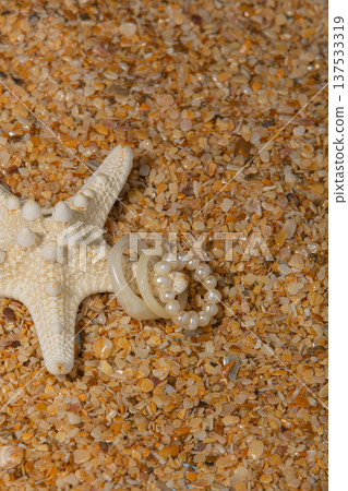 Beach Jewelry Fashion. Sea Inspired Accessory Ensemble. Casual Coastal Jewelry With Natural Elegance 137533319