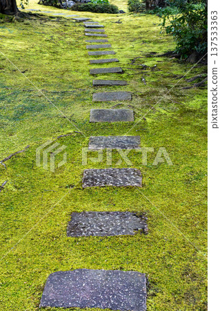 Moss stone Moss stone 137533363