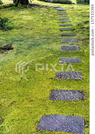 Moss stone Moss stone 137533364