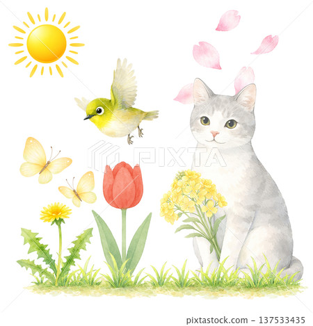 Watercolor illustration of a white cat, a bird, and spring flowers. Cute spring animal material. 137533435