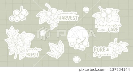 Organic Garden Fresh Sticker Pack. Sage Green Botanical Labels with White Currant. Isolated Elegant Decals Berry Branches, Leaves with Phrases. Vector illustration for Eco-Friendly Packaging 137534144