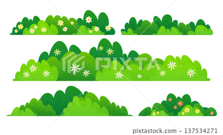 Green bush border with flowers, landscape shrub Green bush border with flowers, landscape shrub 137534271