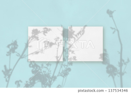 Natural light casts shadows from the field grass on 3 square sheets of white paper lying on a blue background. Mockup 137534346