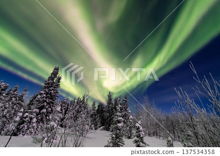 Aurora in Fairbanks, Alaska 137534358