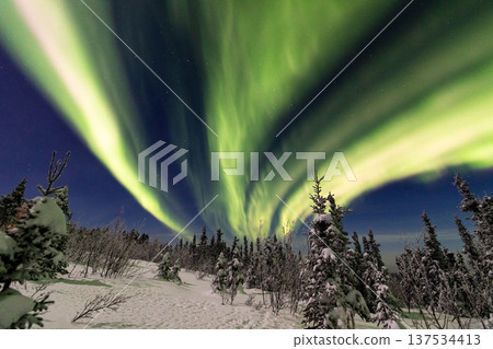Aurora in Fairbanks, Alaska 137534413