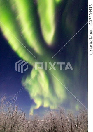 Aurora in Fairbanks, Alaska Aurora in Fairbanks, Alaska 137534418