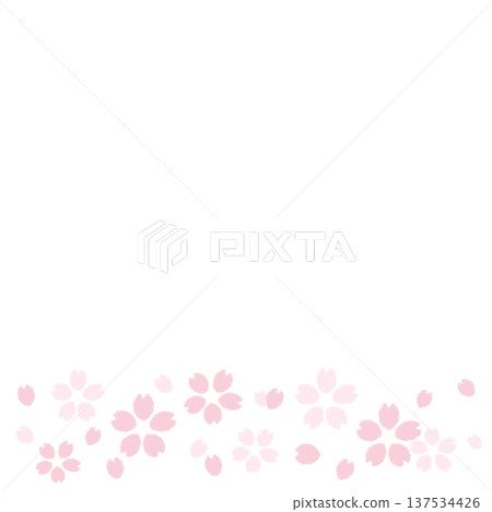 櫻桃樹 櫻桃樹 137534426