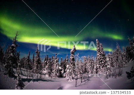 Aurora in Fairbanks, Alaska 137534533