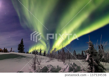 Aurora in Fairbanks, Alaska Aurora in Fairbanks, Alaska 137534536