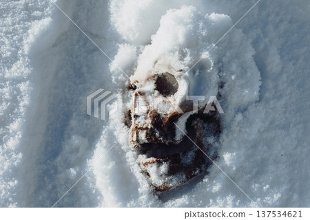 A human skull under snow. An eerie concept, buried in cold snow. Archaeological excavations, human remains. Dark winter concept of death, accident. Skull close-up. A human skull under snow. An eerie concept, buried in cold snow. Archaeological excavations, human remains. Dark winter concept of death, accident. Skull close-up. 137534621