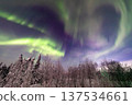 Aurora in Fairbanks, Alaska 137534661