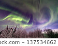 Aurora in Fairbanks, Alaska 137534662