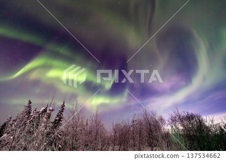 Aurora in Fairbanks, Alaska Aurora in Fairbanks, Alaska 137534662