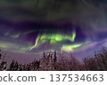 Aurora in Fairbanks, Alaska 137534663