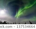 Aurora in Fairbanks, Alaska 137534664