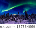 Aurora in Fairbanks, Alaska 137534669