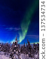 Aurora in Fairbanks, Alaska 137534734