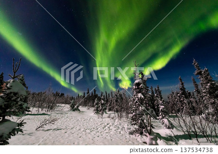 Aurora in Fairbanks, Alaska 137534738