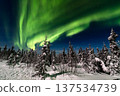 Aurora in Fairbanks, Alaska 137534739