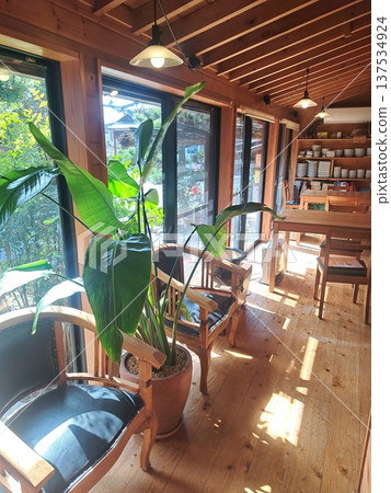 朝西的露台 137534924