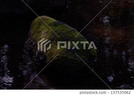 Mossy rocks and clear stream Mossy rocks and clear stream 137535062