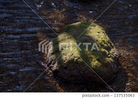 Mossy rocks and clear stream Mossy rocks and clear stream 137535063