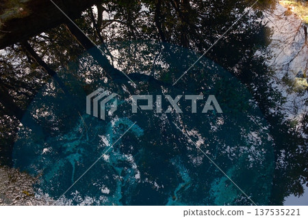 柿田川的倒影 137535221