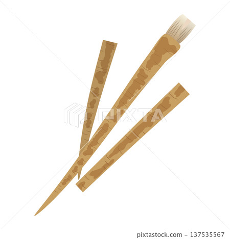 Burdock vector icon, root vegetable illustration material 137535567