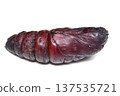 Greater Peacock Moth pupa 137535721