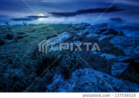 mountain landscape in summer under dark sky at night. lush green grass and sharp rocks on steep hillside in full moon light. beautiful view of remote place in mysterious alpine environment for fantasy mountain landscape in summer under dark sky at night. lush green grass and sharp rocks on steep hillside in full moon light. beautiful view of remote place in mysterious alpine environment for fantasy 137536528