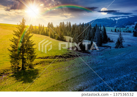 mountain landscape during spring. day meet night. sun and moon over peaceful countryside scenery with coniferous forest near grassy field. beautiful ridge with snow capped top in the distance mountain landscape during spring. day meet night. sun and moon over peaceful countryside scenery with coniferous forest near grassy field. beautiful ridge with snow capped top in the distance 137536532