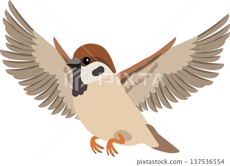 small brown sparrow bird flying with wings spread. 137536554