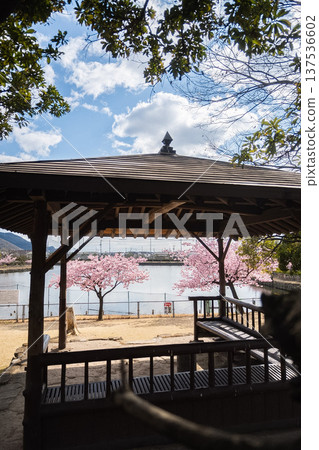 岡山縣（3月）【旅遊景點】湖畔公園賞櫻，櫻花盛開 137536602