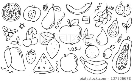 Fruits and berries set in doodle sketch style Fruits and berries set in doodle sketch style 137536678
